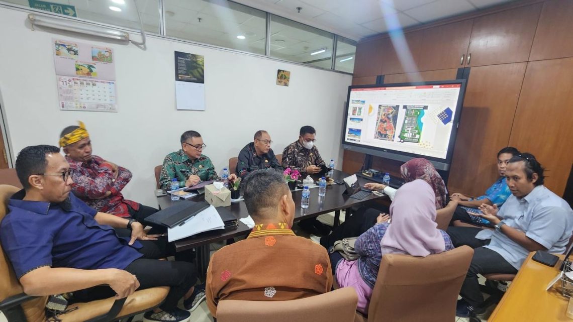 Perjuangan Kota Kendari Mewujudkan RSUD Tipe B, Demi Layanan Kesehatan Lebih Baik 3