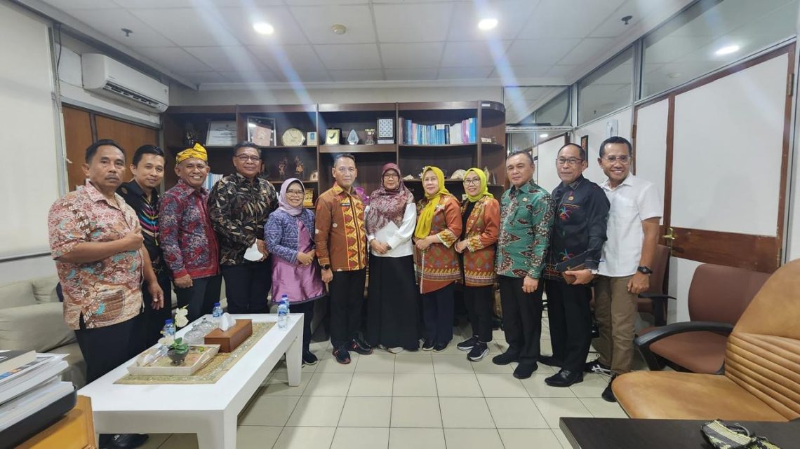 Perjuangan Kota Kendari Mewujudkan RSUD Tipe B, Demi Layanan Kesehatan Lebih Baik 4